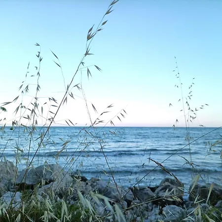 Black Sea Daire *