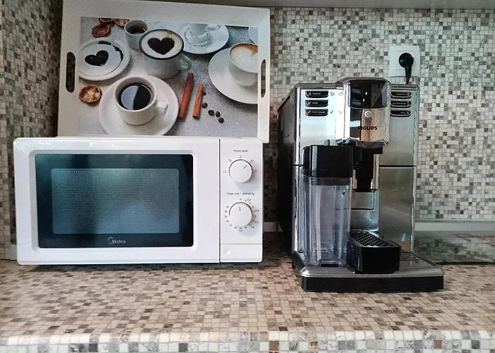 Black Sea 아파트 발치크