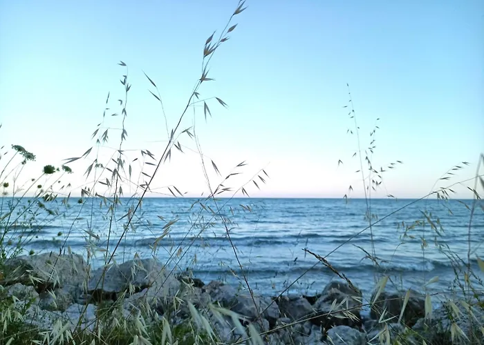 Black Sea 아파트 *