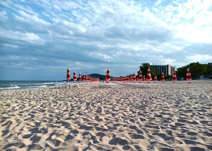 Black Sea * 발치크