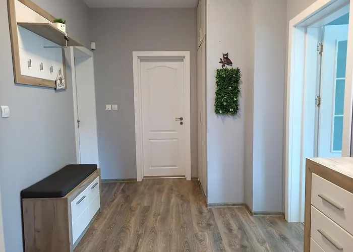 Black Sea * 발치크